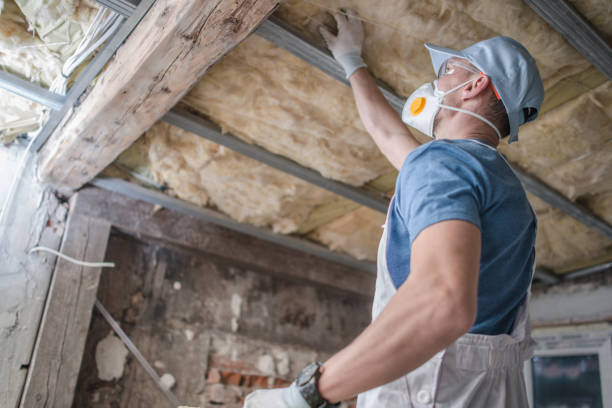 Best Types of Insulation in Windsor, CO