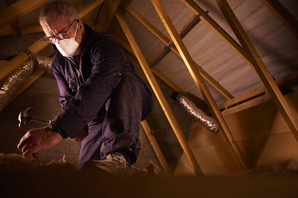 Best Specialty Insulation in Windsor, CO