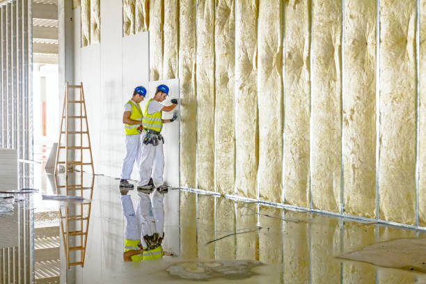 Best Residential Insulation in Windsor, CO